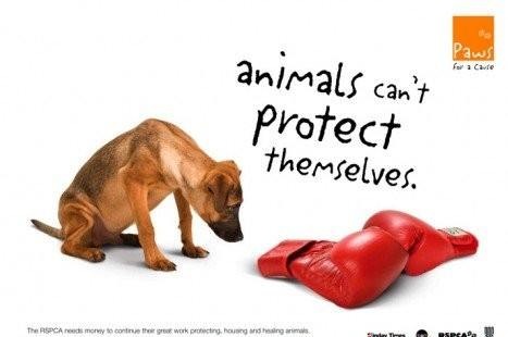 Animalscantprotectthemselves_public_service_funnycommercials3